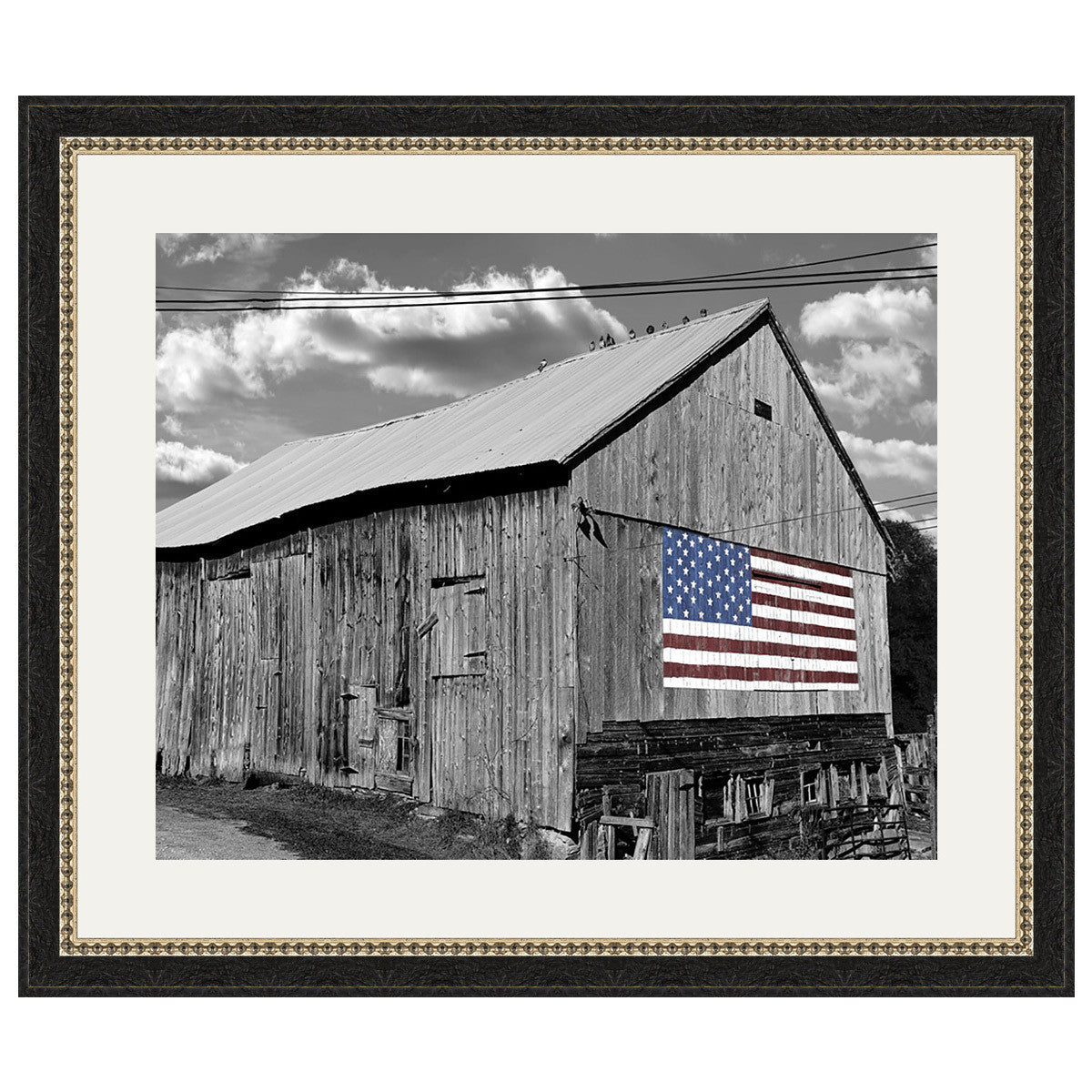 Land of the Free Wall Art