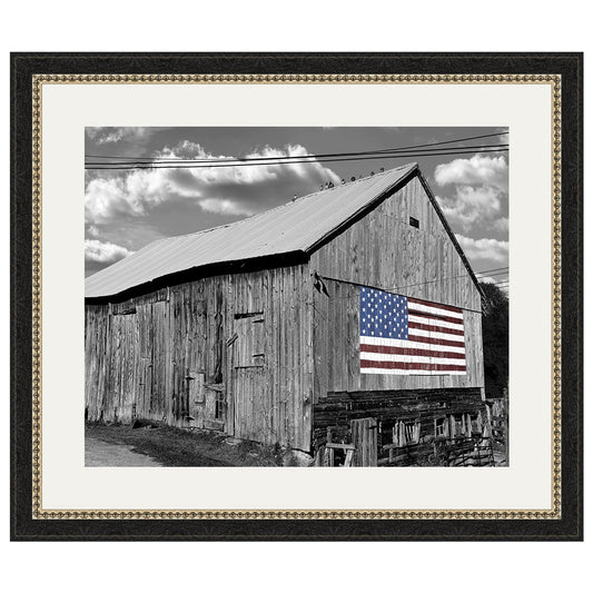 Land of the Free Wall Art
