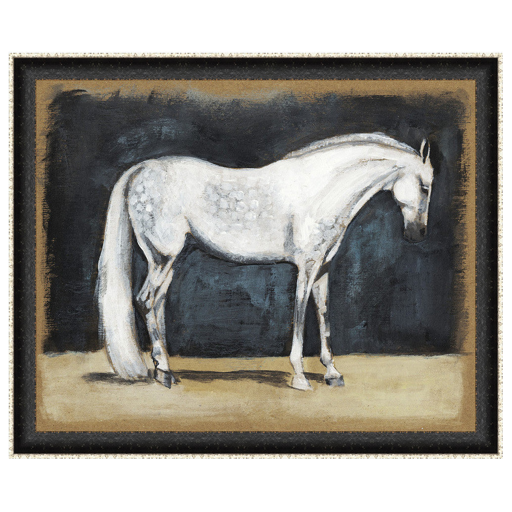 Equestrian Studies V Framed Print