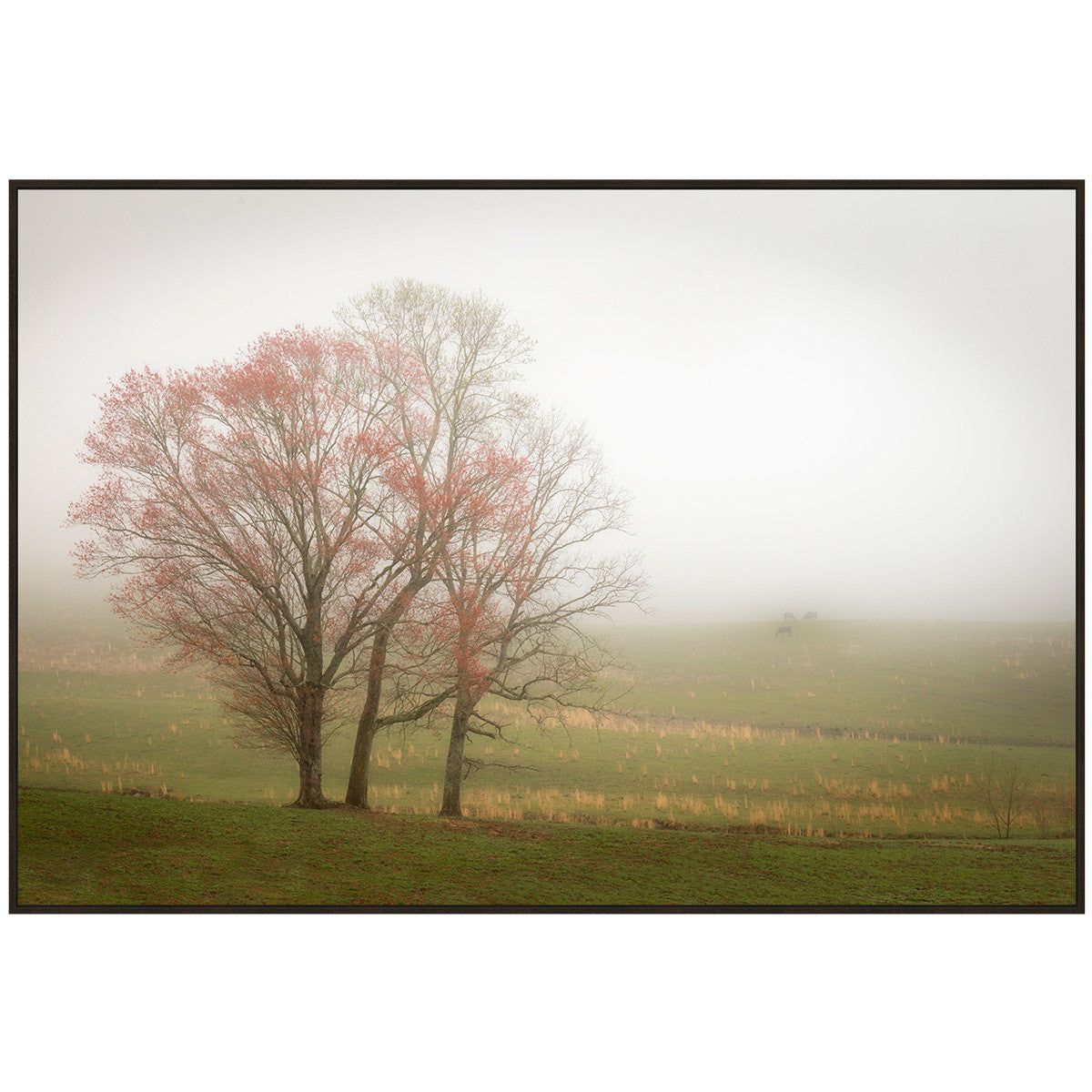 Misty Field Framed Art