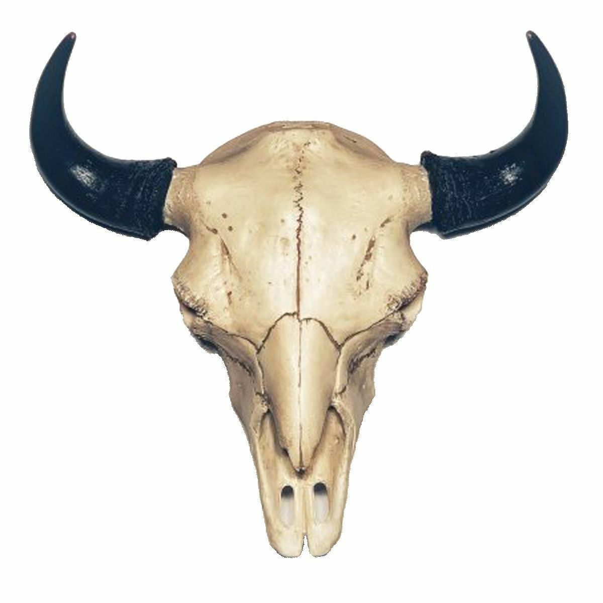 Bison European Mount