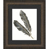 Feathers I Framed Print