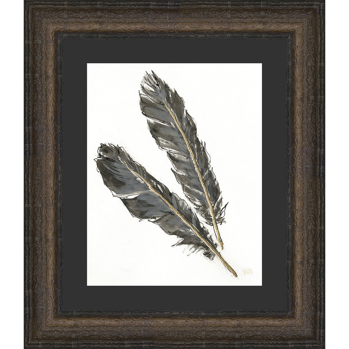 Feathers I Framed Print