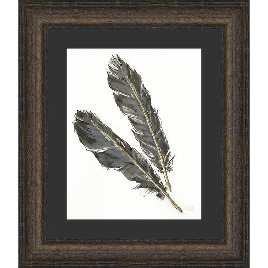 Feathers I Framed Print