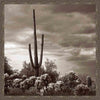 Mojave Evening Wall Art