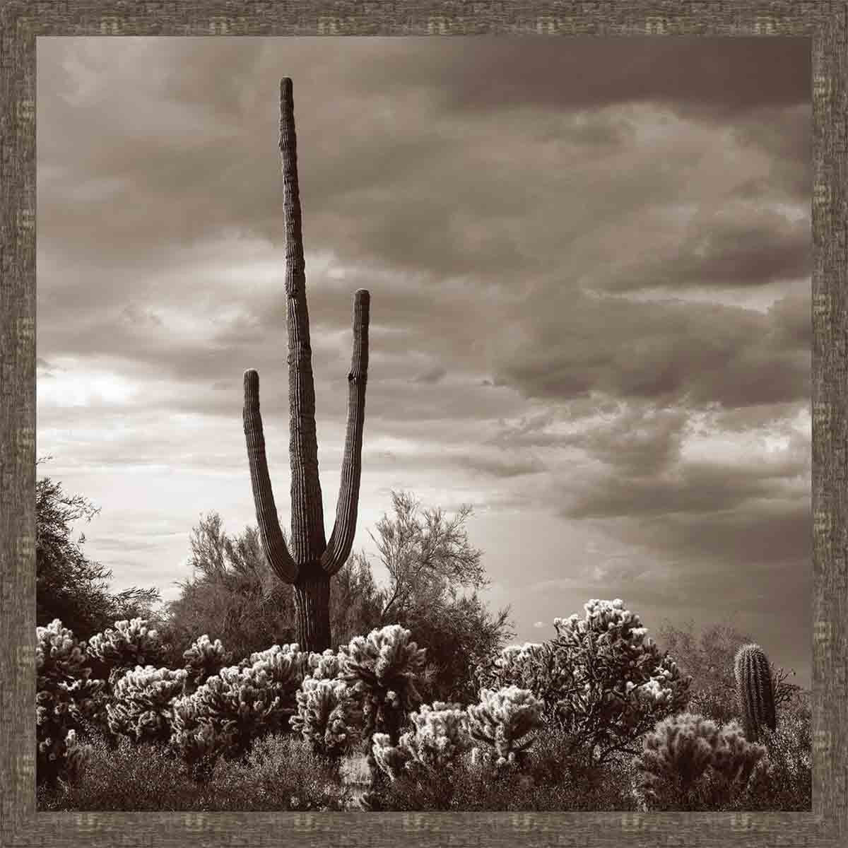 Mojave Evening Wall Art