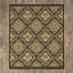 Butte Valley Rug - 11 x 13