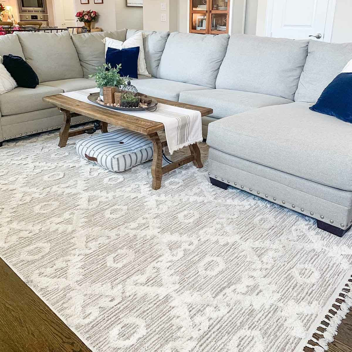 Holbrook Rug - 5 x 8