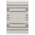 Mexico City Rug - 5 x 8
