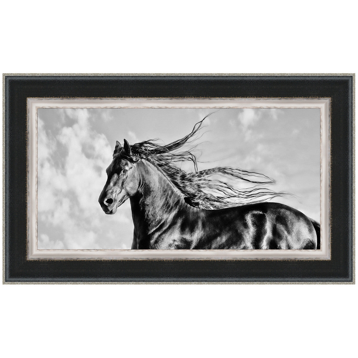 Wind Blown Mane IV Framed Print