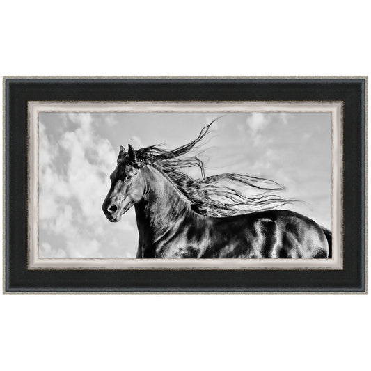 Wind Blown Mane IV Framed Print