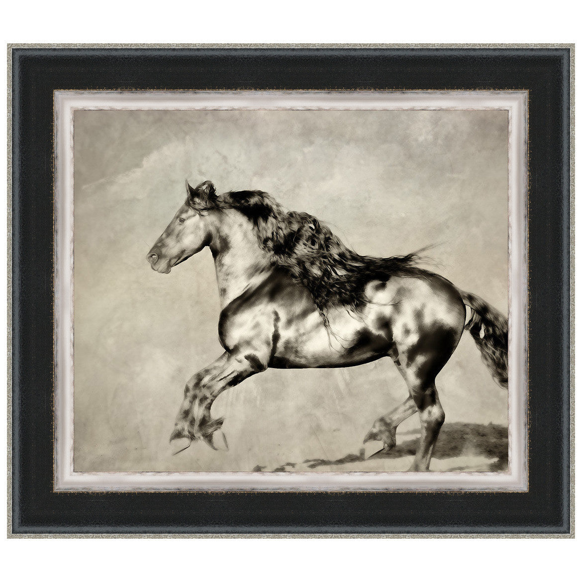 Wind Blown Mane III Framed Print