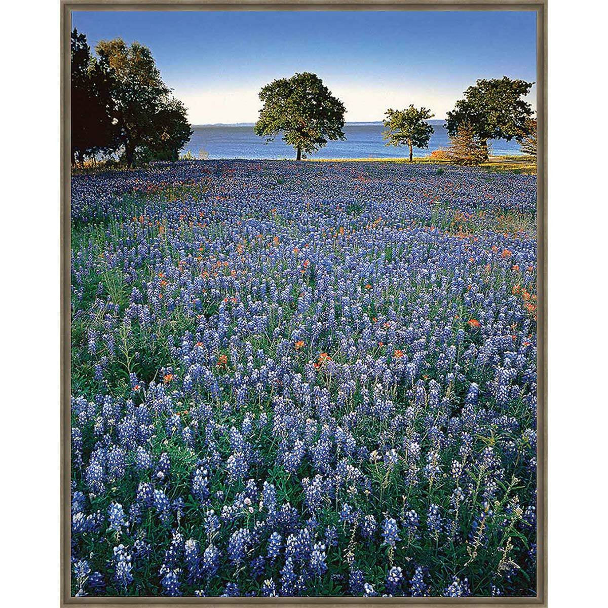 Blue Flower Lake Framed Canvas