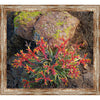 Palm Desert Cactus Framed Canvas