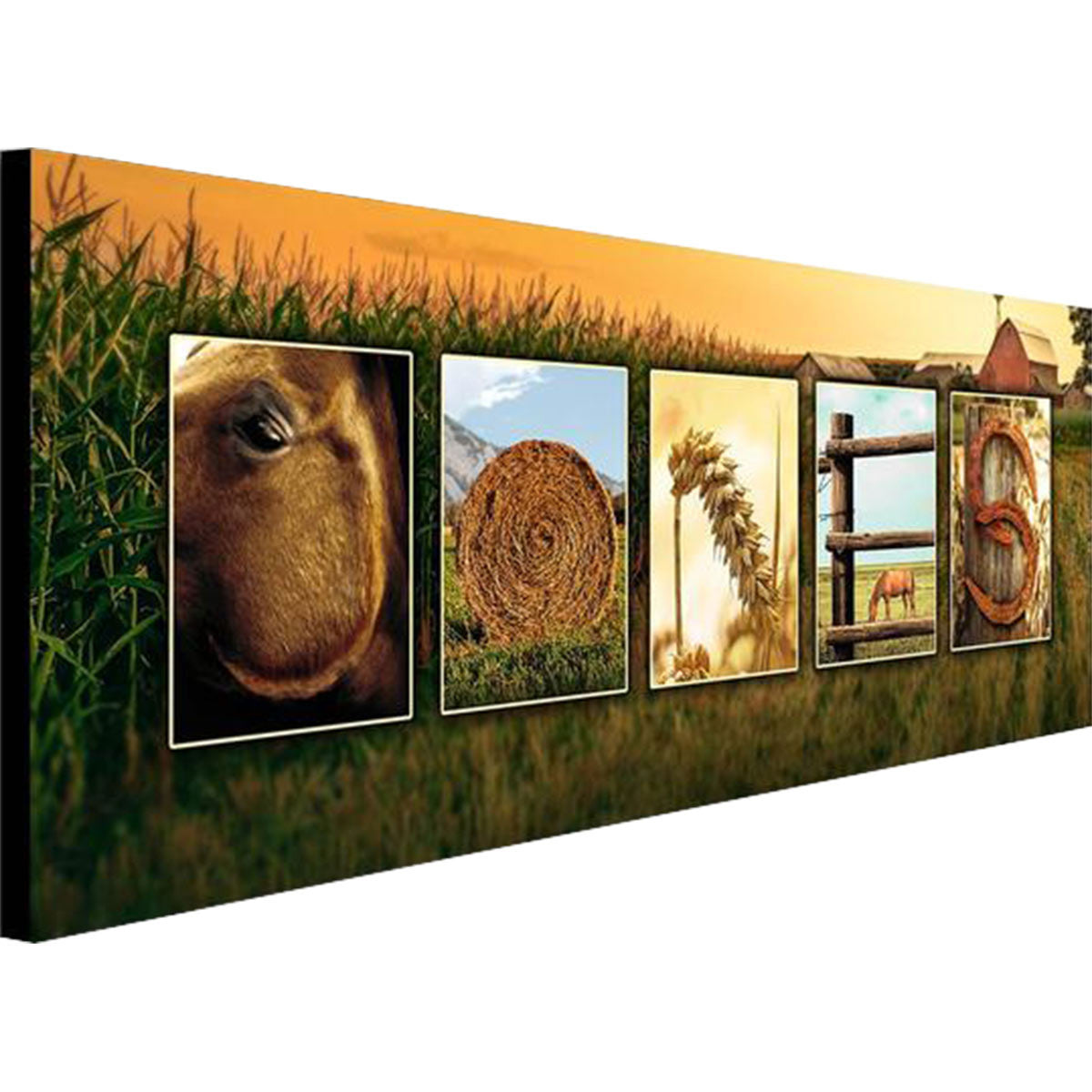 Horse Farm Personalized Stretched Canvas - Large