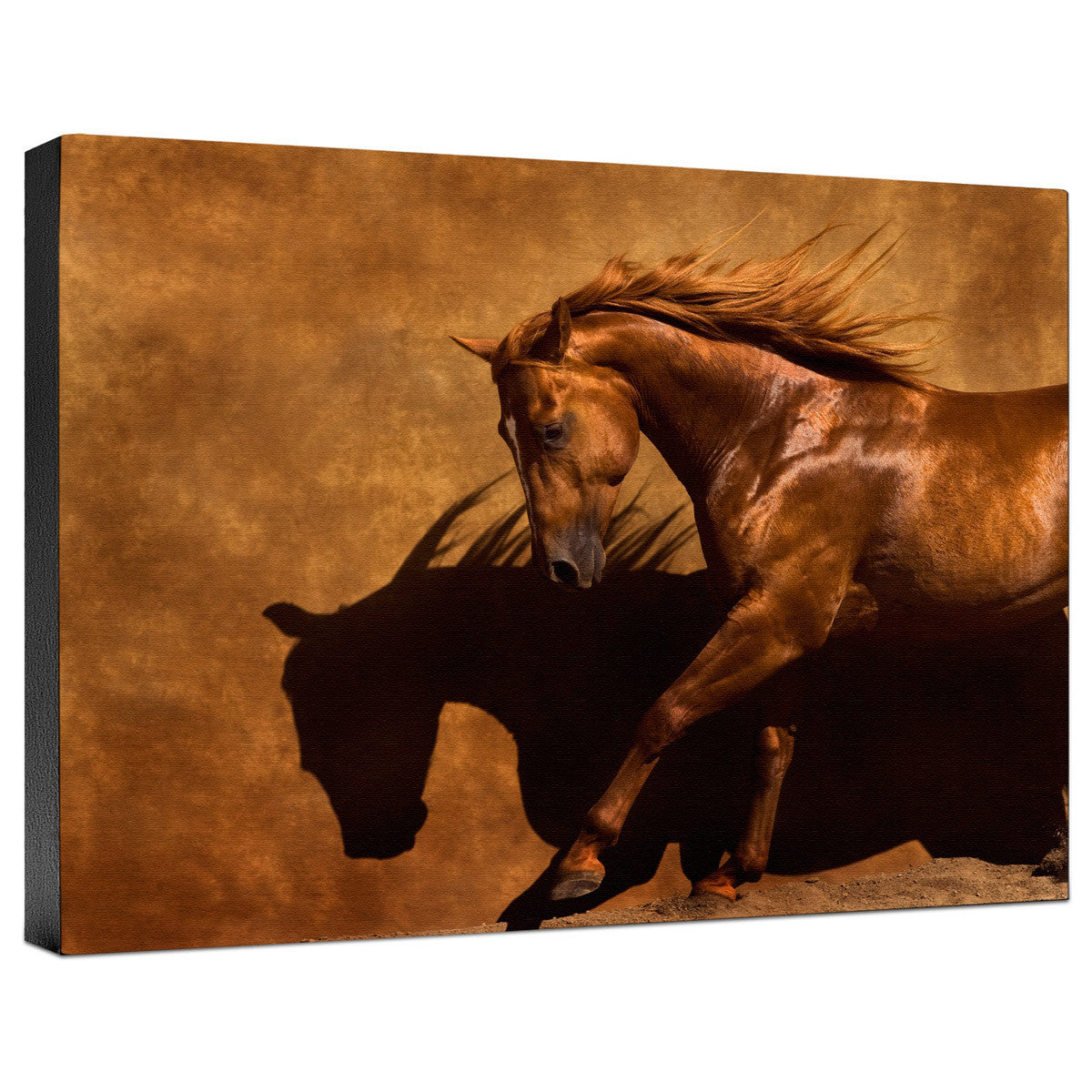 Adobe Dancer Gallery Wrapped Canvas