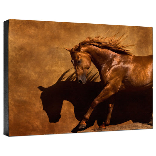 Adobe Dancer Gallery Wrapped Canvas