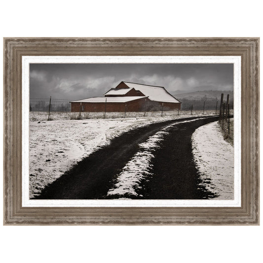 Late Winter Morning Framed Print
