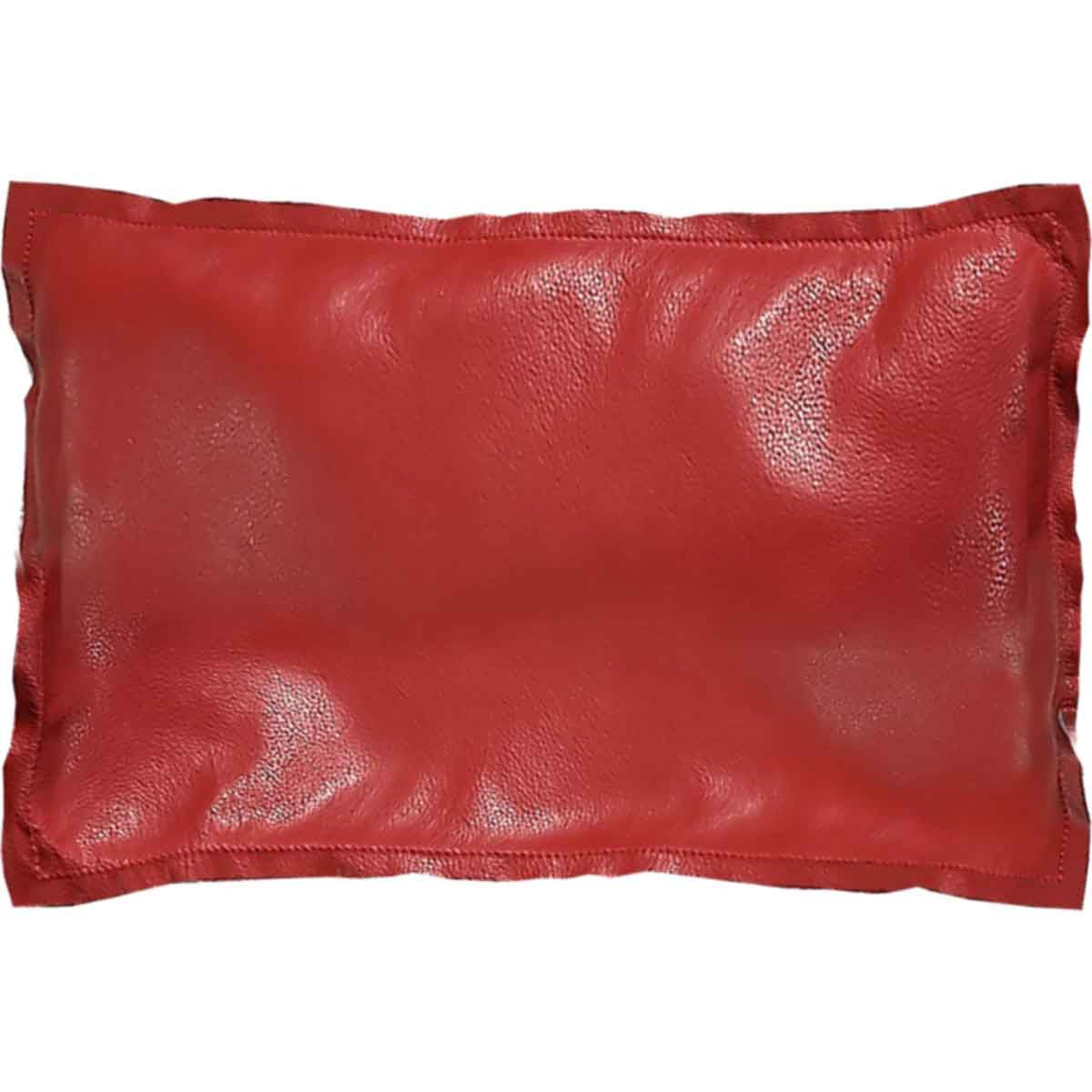 Stagecoach Accent Pillow