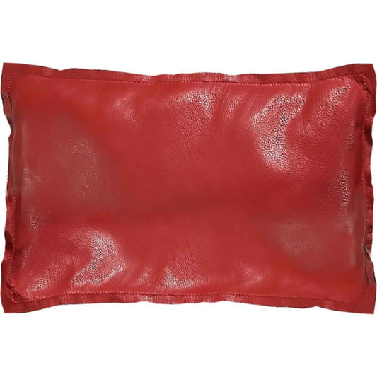 Stagecoach Accent Pillow
