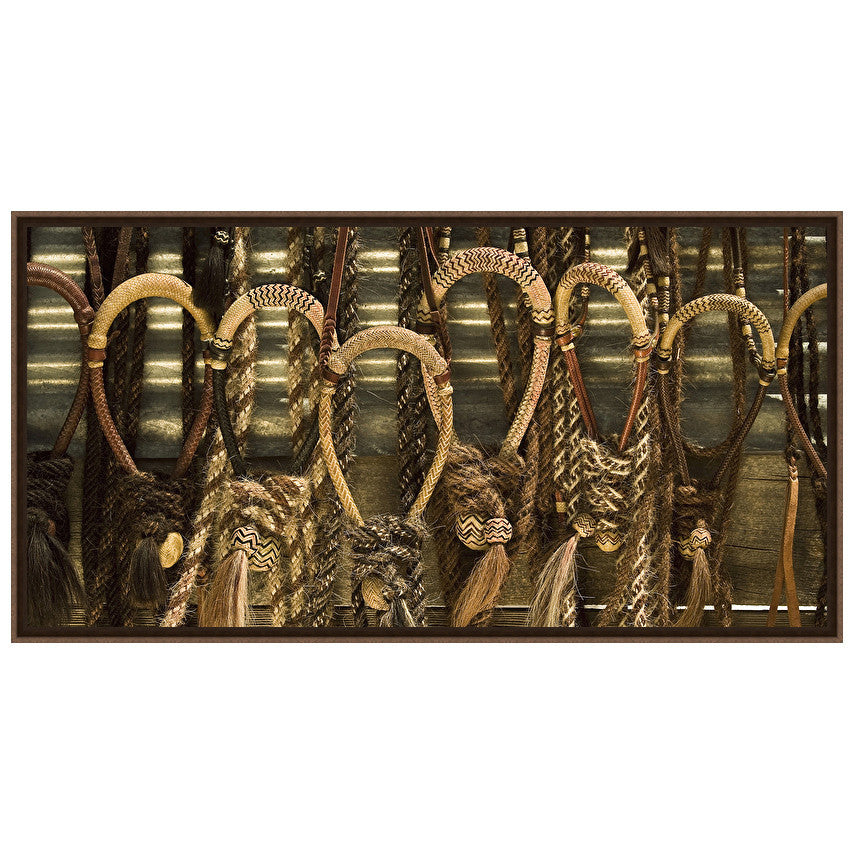 Fancy Bridles Framed Canvas