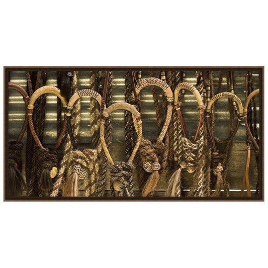 Fancy Bridles Framed Canvas