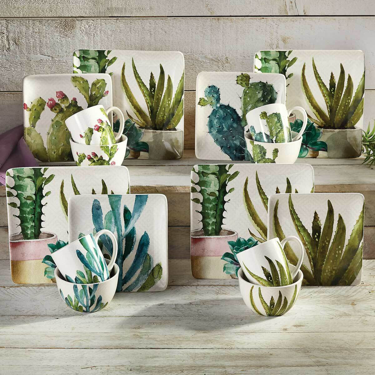 Succulent Cactus Dessert Plates - Set of 4
