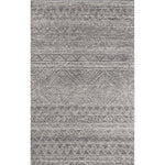 Desert Mirage Gray Rug - 2 x 3