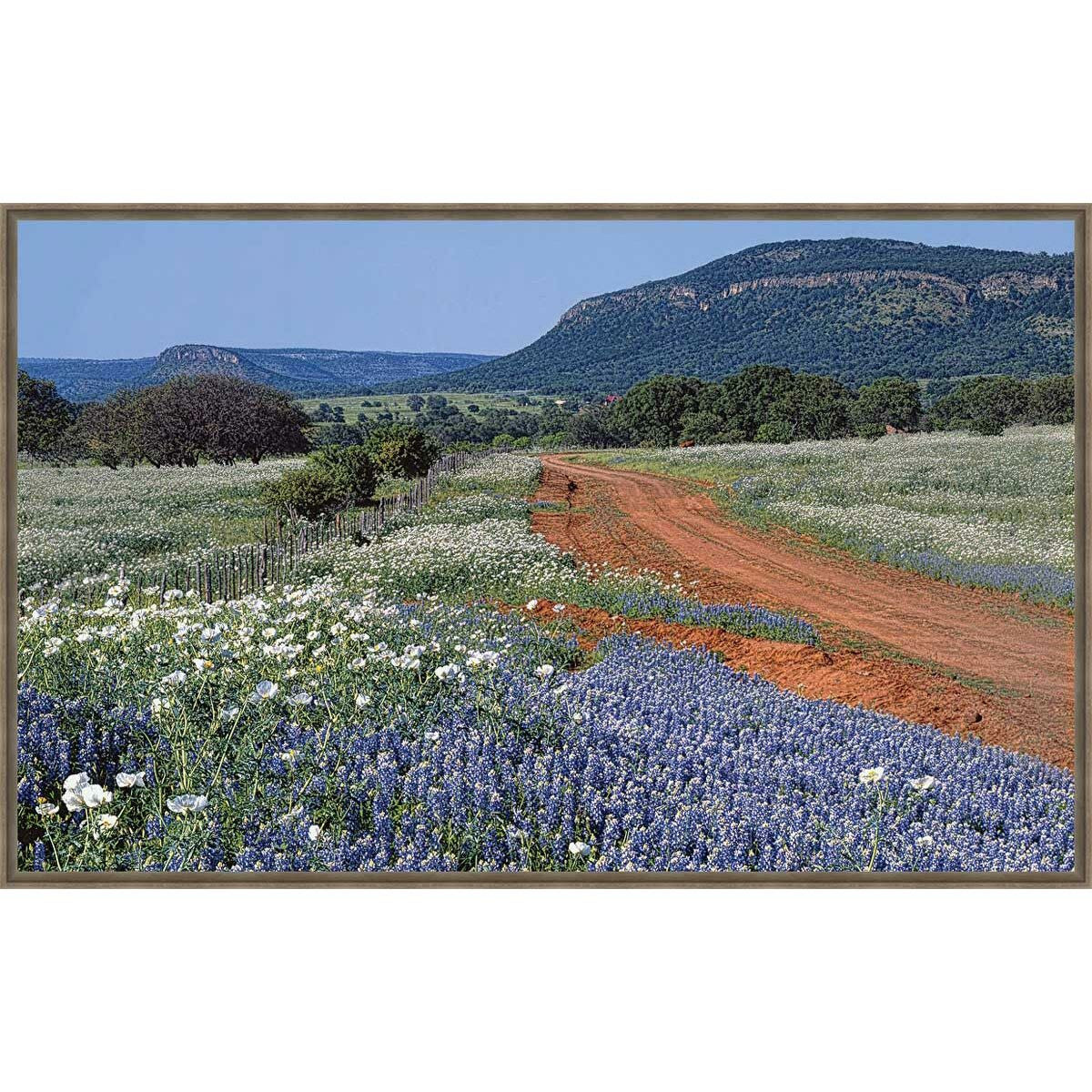 Red, White and Blue Hill Framed Canvas