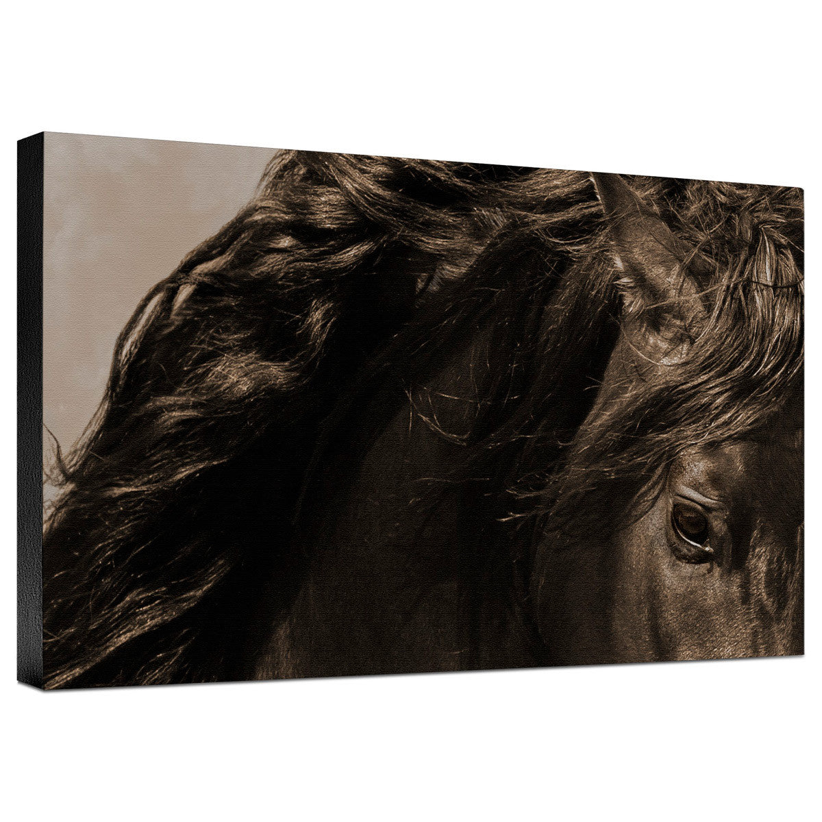 Sheraz Sepia Gallery Wrapped Canvas