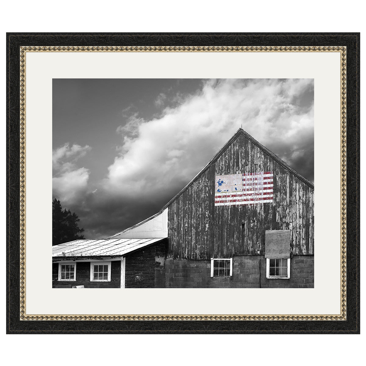 Home of the Brave Wall Art
