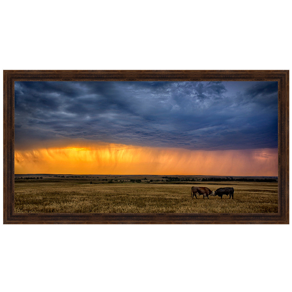 Pasture Landscape Canvas Art