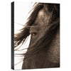 Don't Bother Me Gallery Wrapped Canvas