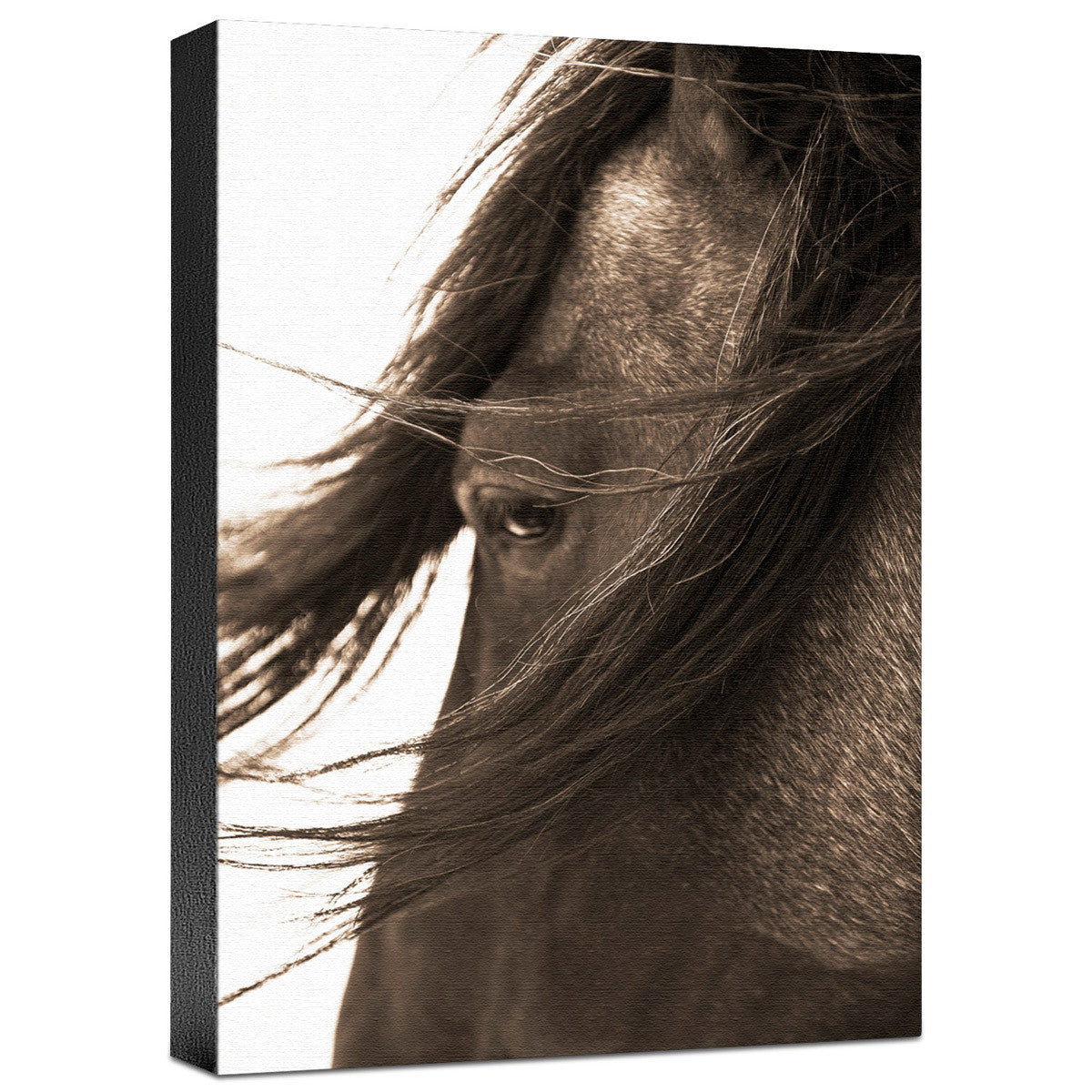 Don't Bother Me Gallery Wrapped Canvas
