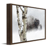Snow Bison Personalized Framed Canvas