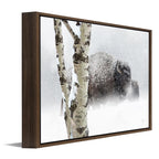 Snow Bison Personalized Framed Canvas