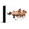 Personalized Free in Spirit Horse Art
