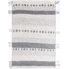 Terra Trail Ivory Indoor/Outdoor Rug Collection