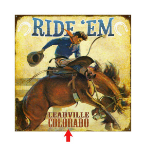 Ride 'Em Personalized Signs
