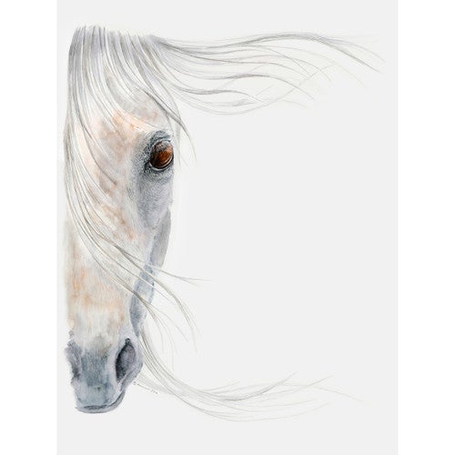 Equine Dream Canvas Art