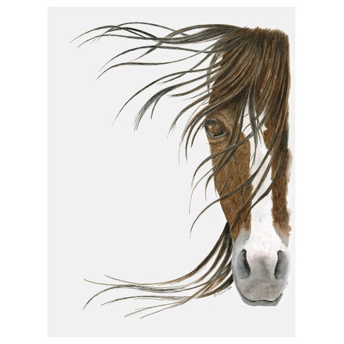 Equine Vision Canvas Art