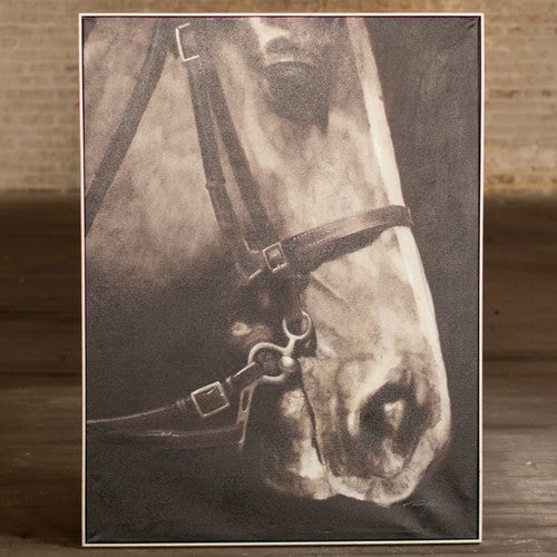 Black and White Horse Profile Framed Canvas