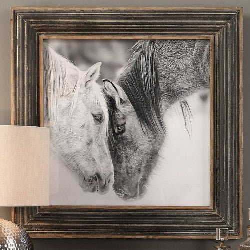 Black and White Horses Framed Print