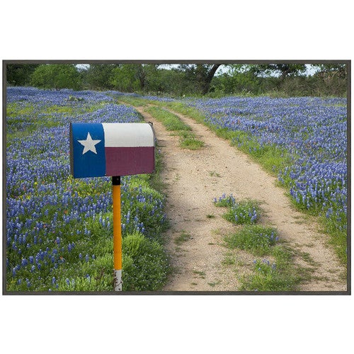 Bluebonnet Road Framed Art