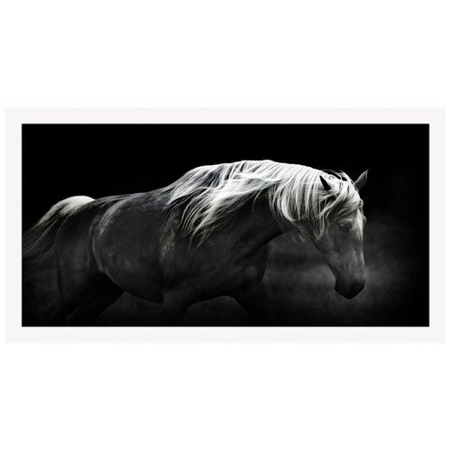 Bonnie Portrait Framed Print