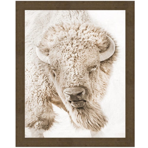 Bull Watch Canvas Art