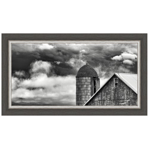 Companions Framed Print