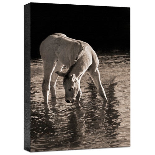 Cool Water Gallery Wrapped Canvas