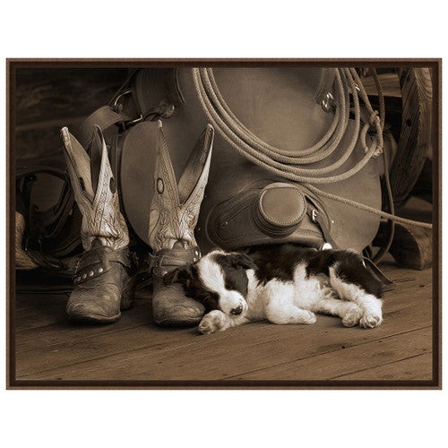 Cowboy Puppy Sepia Framed Canvas