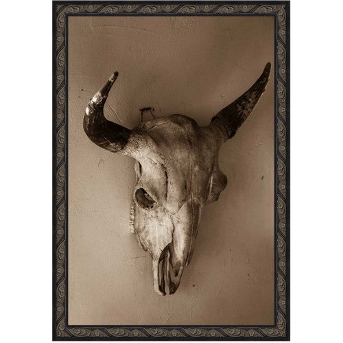 Death Valley Skull Canvas Art